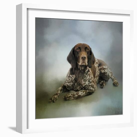 Waiting for a Cue German Shorthaired Pointer-Jai Johnson-Framed Giclee Print