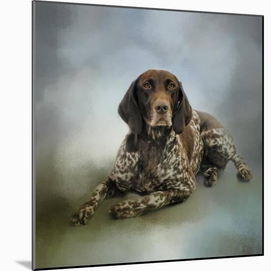 Waiting for a Cue German Shorthaired Pointer-Jai Johnson-Mounted Giclee Print