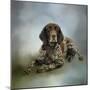 Waiting for a Cue German Shorthaired Pointer-Jai Johnson-Mounted Premium Giclee Print