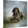 Waiting for a Cue German Shorthaired Pointer-Jai Johnson-Mounted Giclee Print