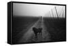 Waiting for a Friend-Jure Kravanja-Framed Stretched Canvas