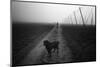 Waiting for a Friend-Jure Kravanja-Mounted Photographic Print