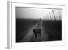 Waiting for a Friend-Jure Kravanja-Framed Photographic Print