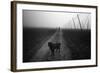 Waiting for a Friend-Jure Kravanja-Framed Photographic Print