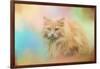 Waiting for Birds-Jai Johnson-Framed Giclee Print