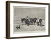 Waiting for Customers-William Elsob Marshall-Framed Giclee Print