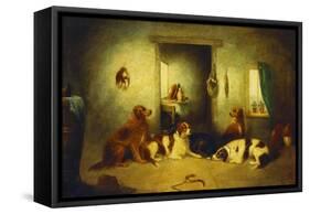 Waiting for Master-George Armfield-Framed Stretched Canvas