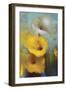 Waiting for my Butterfly-Victoria Montesinos-Framed Giclee Print