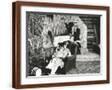 Brown Frame