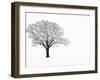 Waiting for Spring-Doug Chinnery-Framed Premium Photographic Print