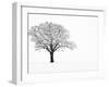 Waiting for Spring-Doug Chinnery-Framed Premium Photographic Print