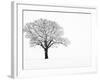 Waiting for Spring-Doug Chinnery-Framed Premium Photographic Print