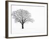 Waiting for Spring-Doug Chinnery-Framed Premium Photographic Print