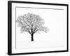 Waiting for Spring-Doug Chinnery-Framed Premium Photographic Print