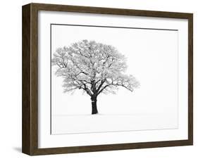 Waiting for Spring-Doug Chinnery-Framed Photographic Print