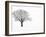 Waiting for Spring-Doug Chinnery-Framed Photographic Print