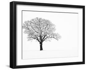 Waiting for Spring-Doug Chinnery-Framed Photographic Print