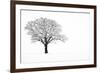 Waiting for Spring-Doug Chinnery-Framed Photographic Print
