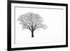 Waiting for Spring-Doug Chinnery-Framed Photographic Print