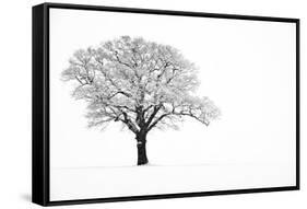 Waiting for Spring-Doug Chinnery-Framed Stretched Canvas