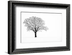 Waiting for Spring-Doug Chinnery-Framed Photographic Print