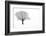 Waiting for Spring-Doug Chinnery-Framed Photographic Print