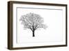 Waiting for Spring-Doug Chinnery-Framed Photographic Print