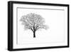 Waiting for Spring-Doug Chinnery-Framed Photographic Print