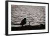 Waiting for That Perfect Shot-Sharon Wish-Framed Photographic Print