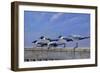 Waiting for the Boats-Michael Jackson-Framed Giclee Print