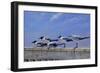 Waiting for the Boats-Michael Jackson-Framed Giclee Print