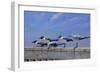 Waiting for the Boats-Michael Jackson-Framed Giclee Print