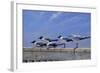 Waiting for the Boats-Michael Jackson-Framed Giclee Print