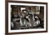 Waiting for the Day-Stephen Arens-Framed Photographic Print