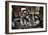 Waiting for the Day-Stephen Arens-Framed Photographic Print