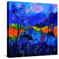 Waiting For The Fairy Queen-Pol Ledent-Stretched Canvas