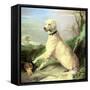 Waiting for the Master-Edwin Landseer-Framed Stretched Canvas