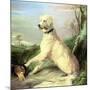 Waiting for the Master-Edwin Landseer-Mounted Giclee Print