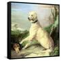 Waiting for the Master-Edwin Landseer-Framed Stretched Canvas