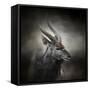 Waiting for the Storm Nyala Buck-Jai Johnson-Framed Stretched Canvas