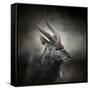 Waiting for the Storm Nyala Buck-Jai Johnson-Framed Stretched Canvas