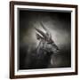 Waiting for the Storm Nyala Buck-Jai Johnson-Framed Giclee Print