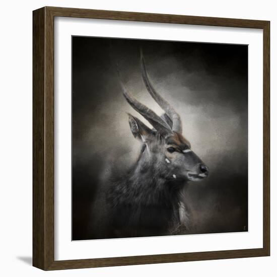 Waiting for the Storm Nyala Buck-Jai Johnson-Framed Giclee Print