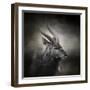 Waiting for the Storm Nyala Buck-Jai Johnson-Framed Giclee Print