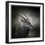 Waiting for the Storm Nyala Buck-Jai Johnson-Framed Giclee Print