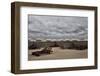 Waiting for the sun-Yvette Depaepe-Framed Photographic Print