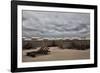 Waiting for the sun-Yvette Depaepe-Framed Photographic Print