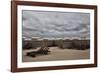 Waiting for the sun-Yvette Depaepe-Framed Photographic Print