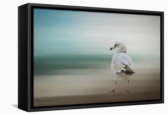 Waiting for the Tide-Jai Johnson-Framed Stretched Canvas