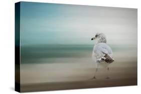 Waiting for the Tide-Jai Johnson-Stretched Canvas